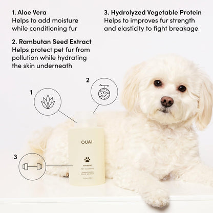OUAI Fur Bébé Pet Shampoo - Cat & Dog Shampoo for Gentle Cleansing, Hydration & Shine - Vegan & Cruelty-Free Pet Supplies with Aloe Vera & Panthenol - Mercer Street Scent (16 Fl Oz)3