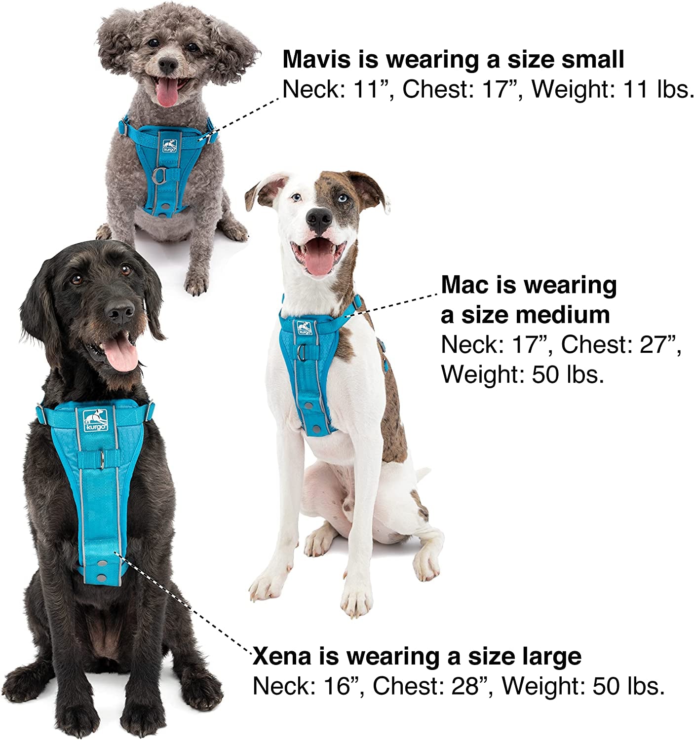 kurgo-tru-fit-smart-harness-black-small-dog-walking-harness-with-quick-release-buckles-front-back-leash-attachments-reflective-trim-includes-seatbelt-tether
