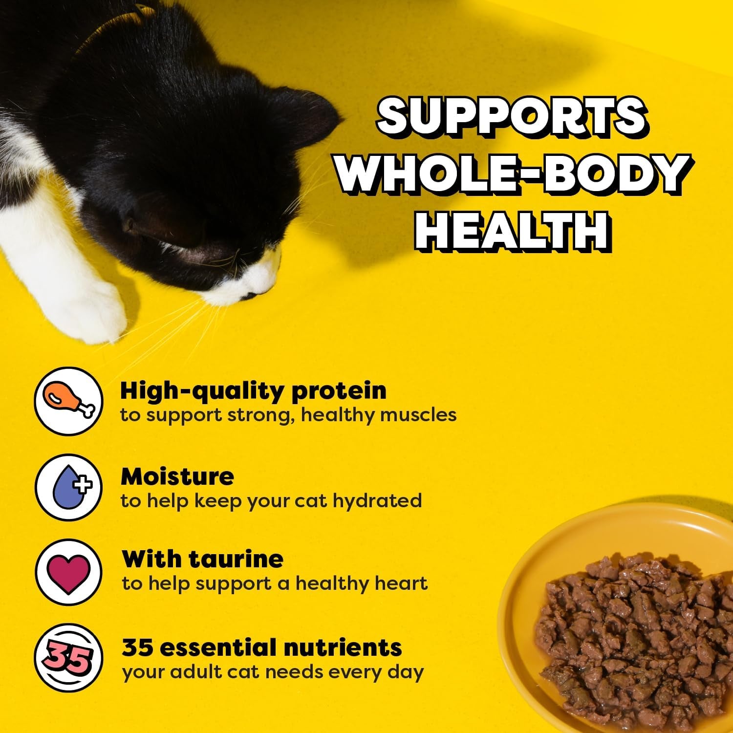 temptations-bites-in-gravy-wet-cat-food-variety-pack-3-5-oz-36-count-chicken-seafood-medley-backyard-cookout-catnip-fever-no-artificial-flavors-3-5-oz-trays-100-complete-balanced