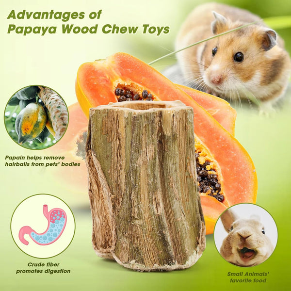 Abizoo Natural Bunny Chew Toys,6 Pcs Organic Papaya Wood Sticks Chew Toys for Rabbit,Hamster,Guinea Pig,Chinchilla,Gerbil,Rat Healthy Chews Teeth Grinding Treats, Squirrel Molar Snack5
