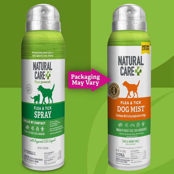 Natural Care Flea & Tick Spray for Dogs, Flea & Tick Treatment, 14Oz | Dog Tick & Flea Treatment, Pest Control, Certified Oils, Repels Fleas, Repels Ticks, Easy Spray Application, Pet Care4