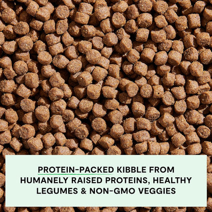 Open Farm Grain Free Dry Dog Food, Grass-Fed Beef Kibble, 22Lb Bag | All Life Stages, All Breed Sizes, Protein-Rich & Nutrient Dense, 100% Traceable Ingredients, Non-Gmo Fruits & Veggies.3
