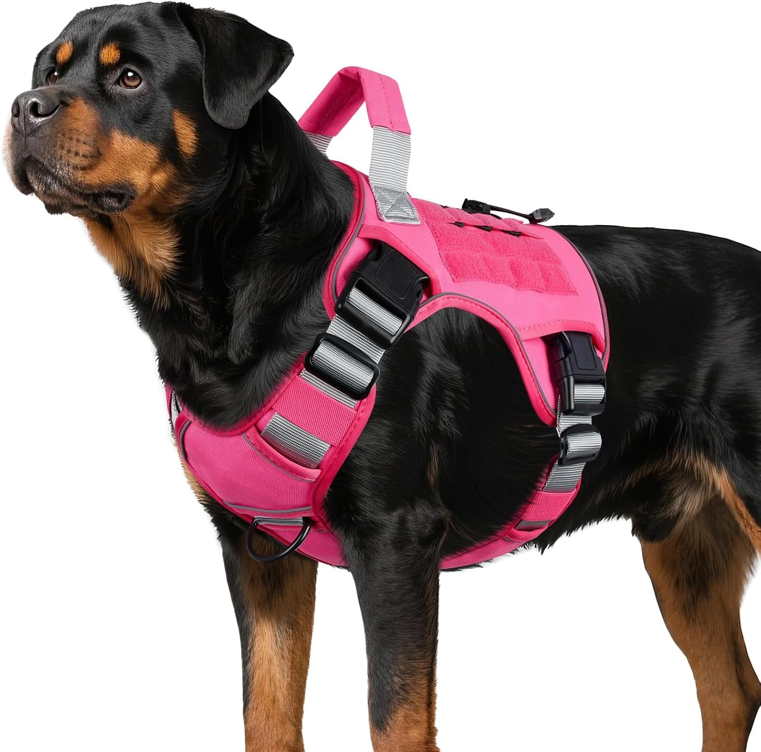 wingoin-tactical-dog-harness-for-large-dogs-heavy-duty-no-pull-dog-harness-with-handle-adjustable-reflective-military-k9-german-shepherd-big-size-dog-vest-for-walking-training-hunting-green-l-with-handle-adjustable-reflective-green-military-k9-style-big-size-dog-vest-for-german-shepherd-for-walking-training-hunting