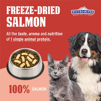 Nutri Bites Freeze Dried Salmon Dog and Cat Treats, 14 Oz2