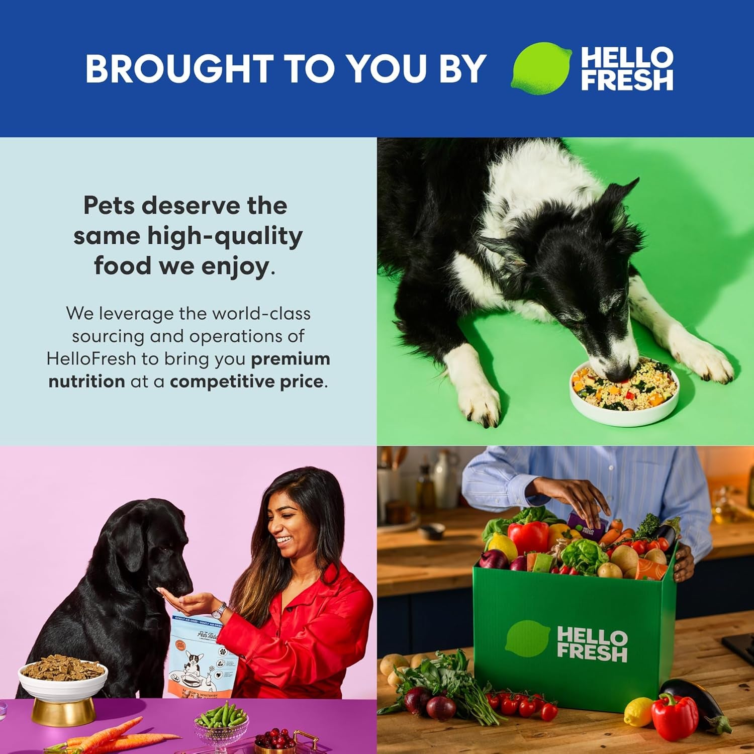 the-pets-table-chicken-sweet-potato-air-dried-dog-food-1-lb-16-oz-bag