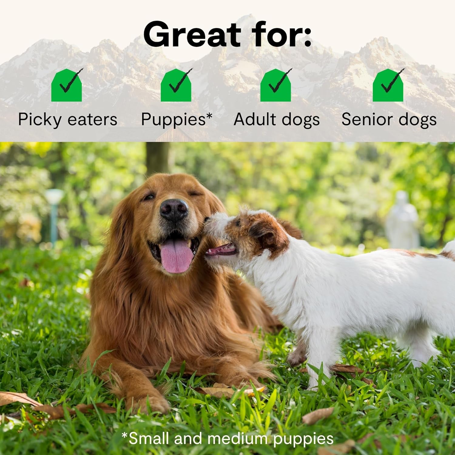 open-farm-rawmix-grain-free-dry-dog-food-front-range-kibble-20lb-bag-grass-fed-beef-pasture-raised-lamb-humanely-raised-pork-freeze-dried-raw-chunks-100-traceable-ingredients