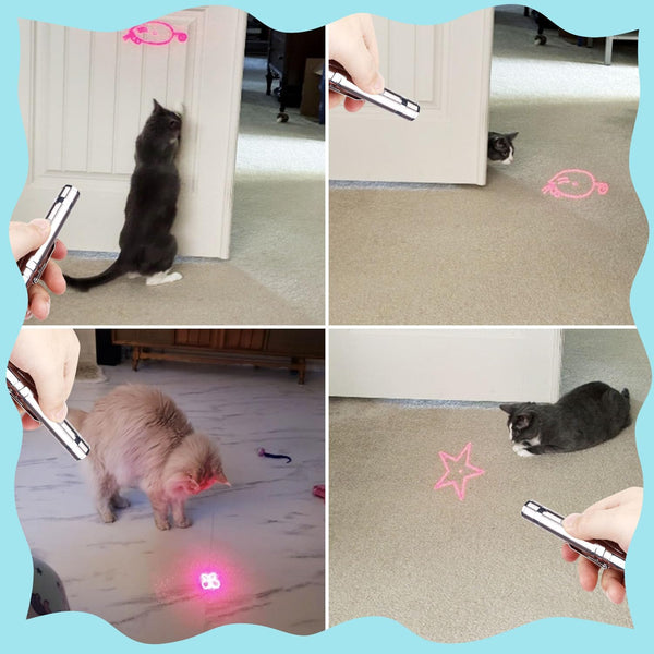 Waputne Cat Toy for Indoor Cats, 2 Pieces, USB Rechargeable Kitten Toys with 7 Adjustable Patterns, Interactive Chase Toys for Indoor Cats & Dogs, Training & Exercise Fun6