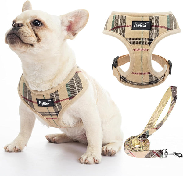 PUPTECK Soft Mesh Dog Harness Small Sized and Leash Set Pet Puppy Cat Comfort Padded Vest No Pull Harnesses, Beige, S65