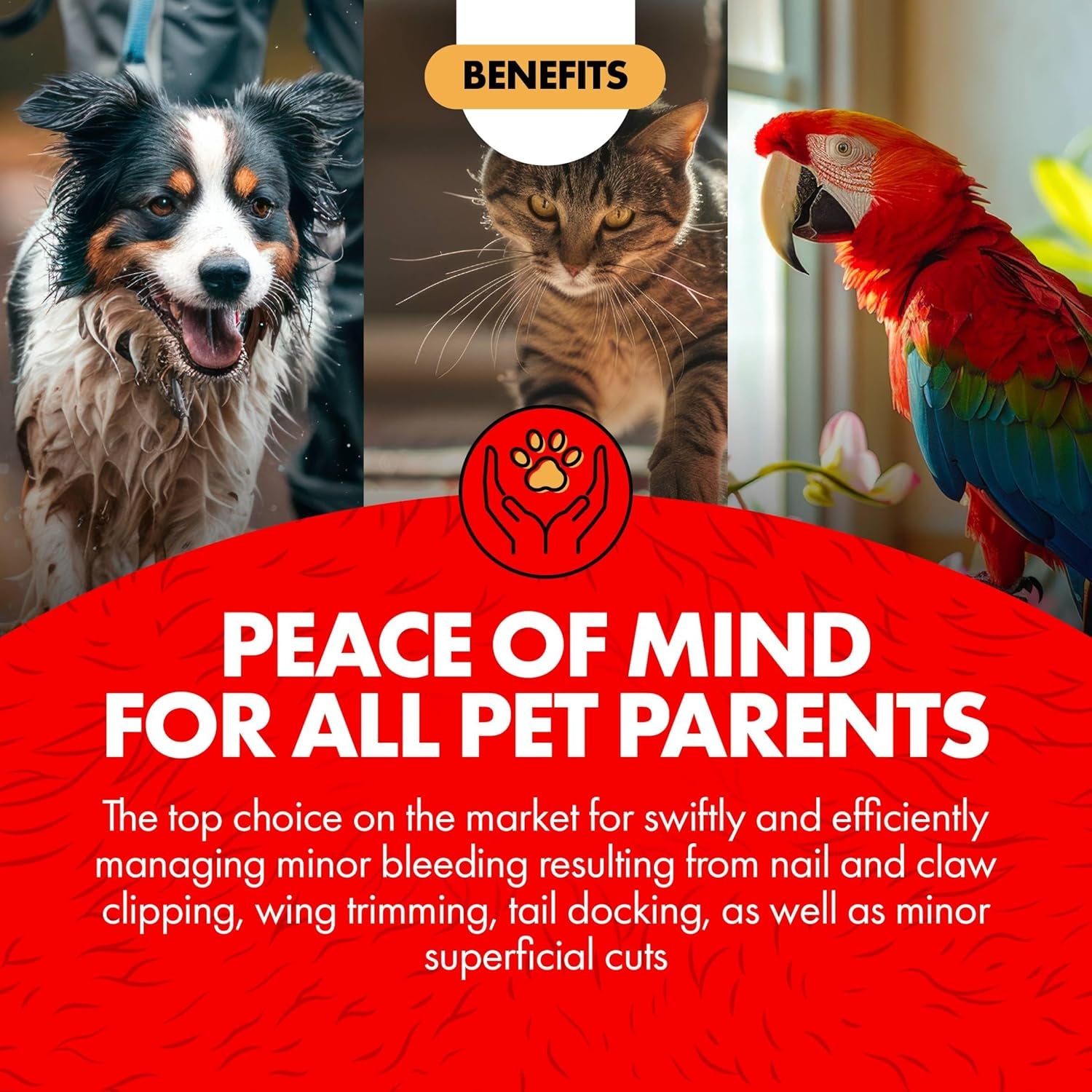 miracle-care-kwik-stop-styptic-powder-for-dogs-cats-and-birds-0-5-ounce-fast-acting-blood-stop-powder-with-pain-relieving-benzocaine-for-nail-claw-clipping-wing-trimming-or-minor-cuts