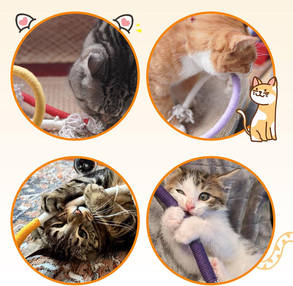 Tocirelo Cat Chew Rope Toy - 6Pack Cotton Cat Chew Toy for Teeth Cleaning, Interactive Kitten Teething Toys to Redirect Chewing from Cord, Cat Nip String Dental Toys for Bored Indoor Cats, 19.7Inch7