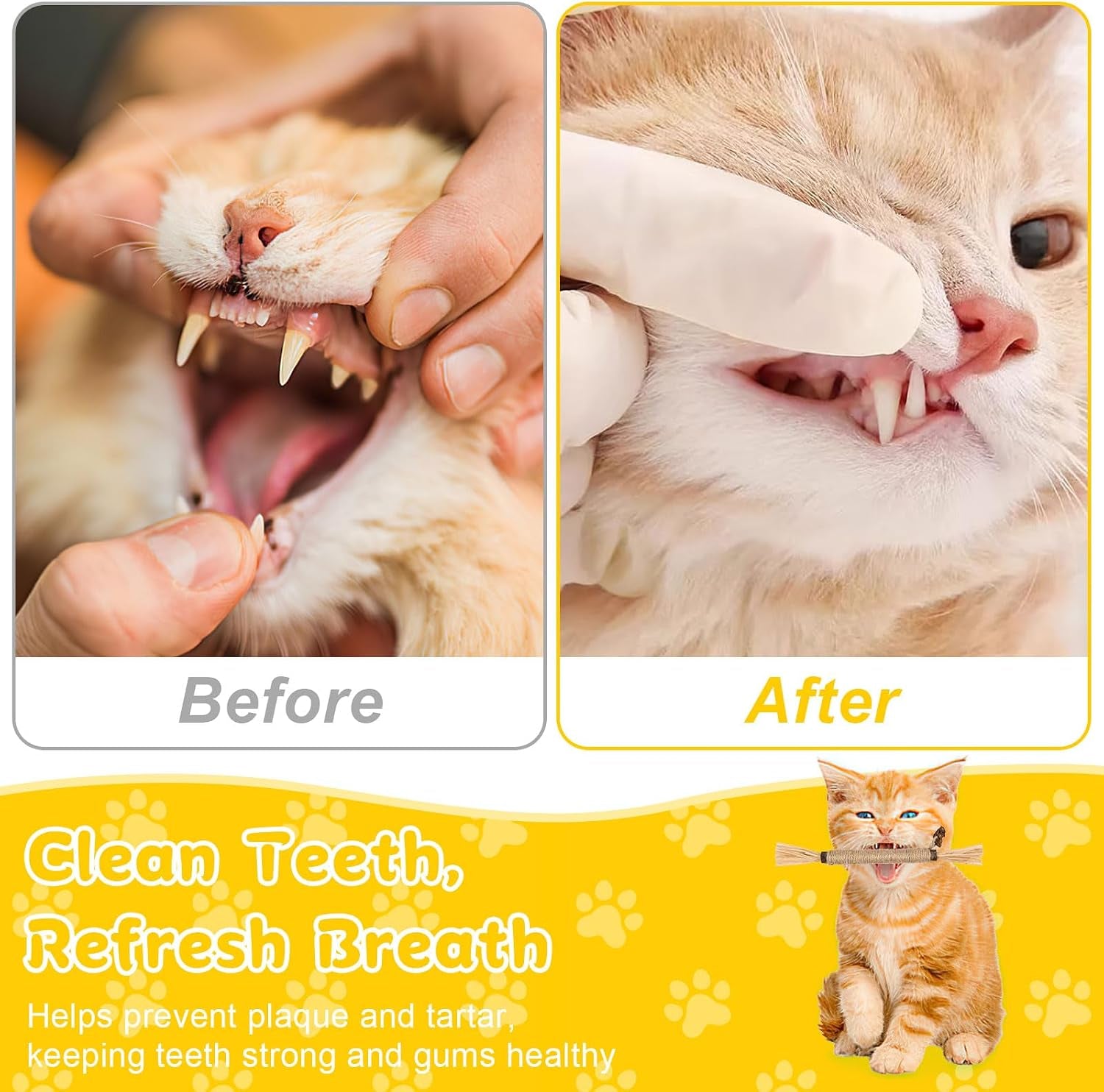 9-pack-silvervine-sticks-for-cats-natural-cat-chew-stick-toys-set-matatabi-dental-care-cat-treat-for-indoor-cats-kittens-dental-care-teeth-cleaning-play