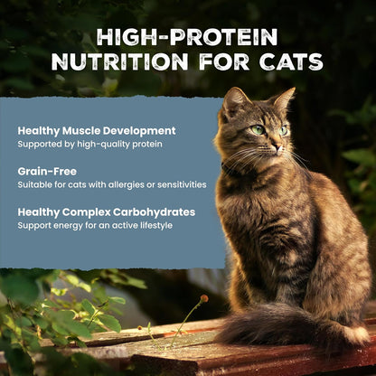Blue Buffalo Wilderness Variety Pack Adult Paté Wet Cat Food, 3 Oz, 12 Ct | Chicken, Salmon, and Duck Patés (4 of Each), High Protein & Grain-Free Recipes, Supports Daily Hydration4