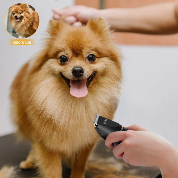 Dog Clippers Professional Heavy Duty Grooming Clipper 3-Speed Low Noise High Power Rechargeable Cordless Pet Tools for Small & Large Dogs Cats Pets with Thick Coats7