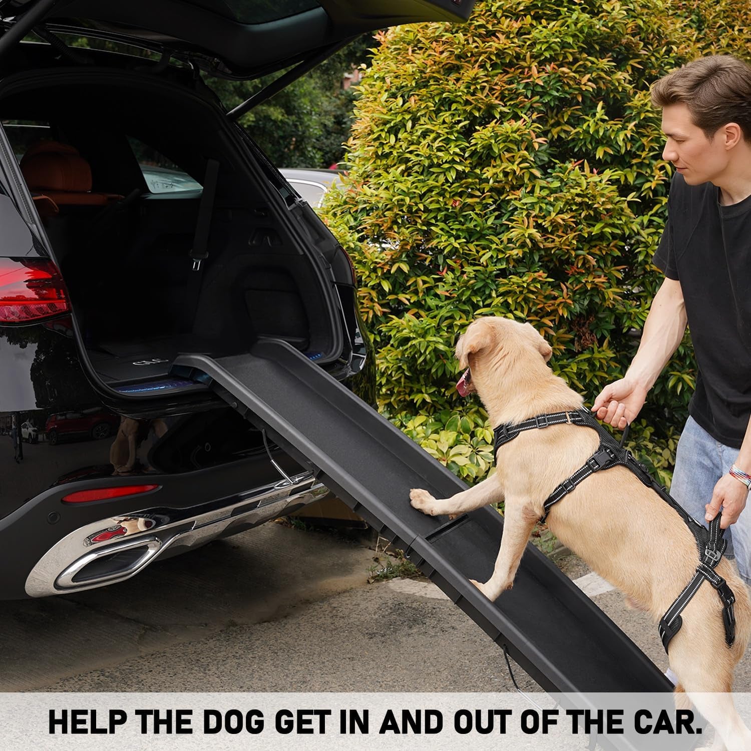 coodeo-mobility-dog-lift-harness-support-sling-walking-sling-for-dogs-pet-rear-leg-rehabilitation-support-vest-dog-carrier-for-senior-dogs-with-joint-injuries-arthritis-up-stair-black-l