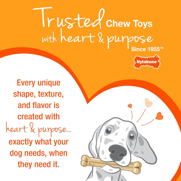 Nylabone Flexi Chew Dental Gumabone Dog Chew Toy, Chicken Flavor, Small | Dog Toys for Small Dogs up to 25 Lbs, Teeth-Cleaning Textures, Flexible Material, Gentle on Teeth, Great for Seniors11