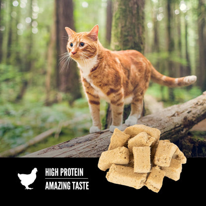 ORIJEN Freeze Dried Cat Treats Grain Free Original, 1.25Oz Bag | 99% Animal Ingredients, Freeze Dried, Grain Free, High Protein, Wild-Caught Fish, Free-Run Poultry, 1 Calorie Each3