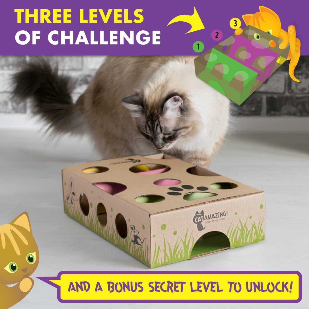 cat-amazing-interactive-treat-maze-and-puzzle-cat-toy