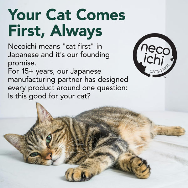 Necoichi Cardboard Cat Scratcher Bed for Indoor Cats - Cat Scratching Board, Horizontal Cat Scratch Pad Lounger with Reversible Usability and Extra Comfort for Lounge, Curved (23" Large, Dark Cherry)8