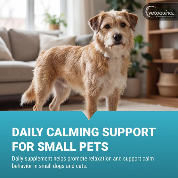 Vetoquinol Zylkene - Calming Oral Capsule for Small Cats & Dogs 11–22 Lb - for Behavior & Occasional Anxiety - Perfect for Boarding, Vet Visits & Celebrations - Non-Drowsy & Lactose-Free - 30 Capsules2