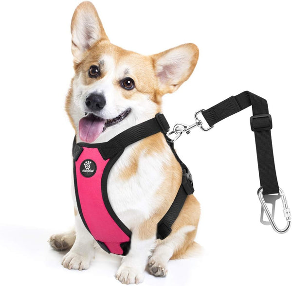 Vavopaw Dog Seat Belt Vest Harness for Car,2 in 1 Seatbelt Buckle | Soft Breathable Mesh,Adjustable Buckle,Nylon,Heavy Duty Pet Safety Seat Belts for Small Medium Large Pets,Black,L28