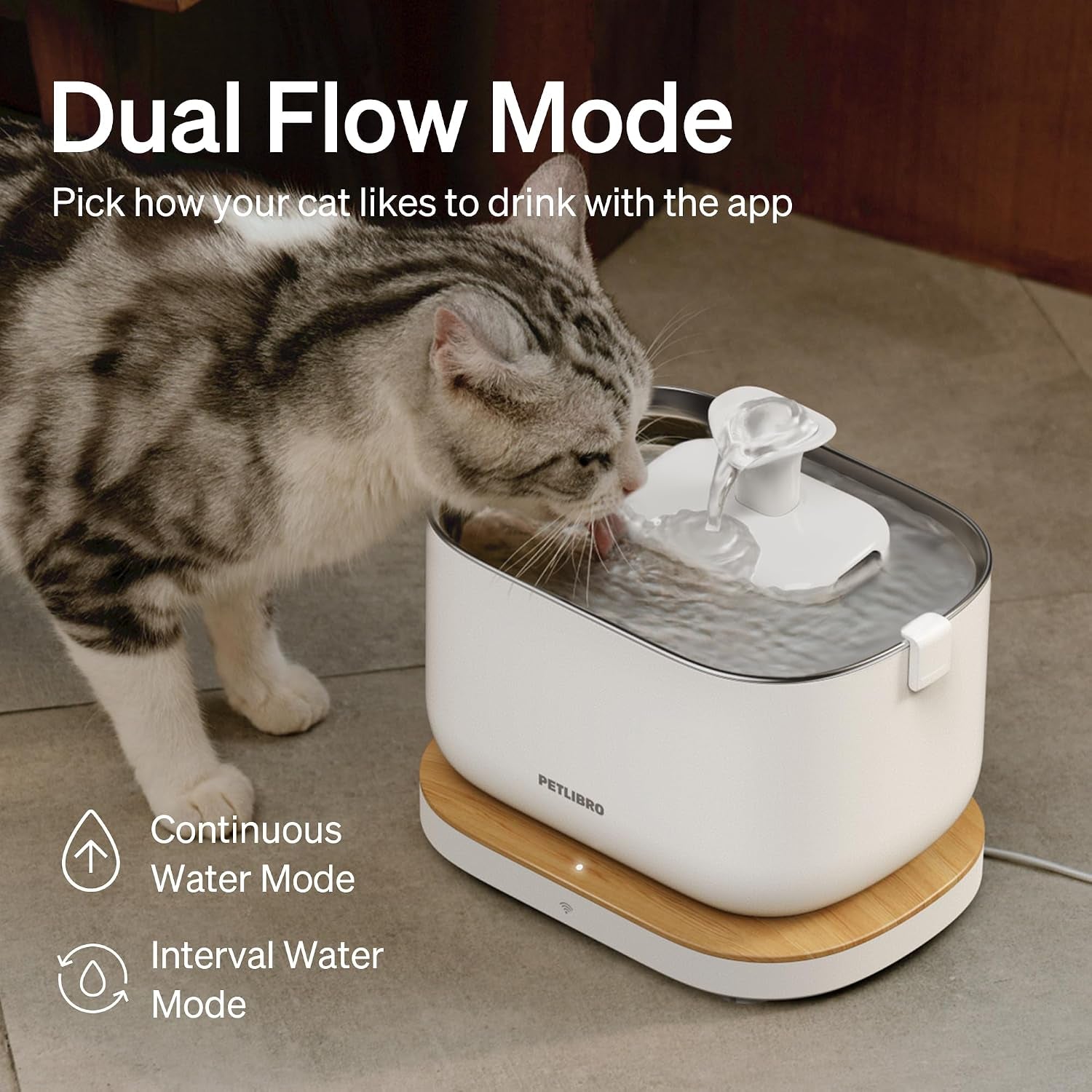 petlibro-cat-water-fountain-app-monitoring-pet-fountains-for-cats-indoor-with-stainless-steel-tray-2-5l-84oz-dockstream-automatic-water-dispenser-for-drinking-2-4g-wi-fi-smart-bowl-inside