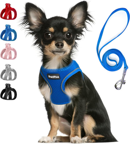 Small Dog Harness and Leash Set Breathable Step-In Puppy Cat Harness,Xs | Reflective for Safe Easy Walking,Soft Light Puppy Vest,Escape Proof,No Pull Harness for Dogs,All Weather Air Mesh Harness26