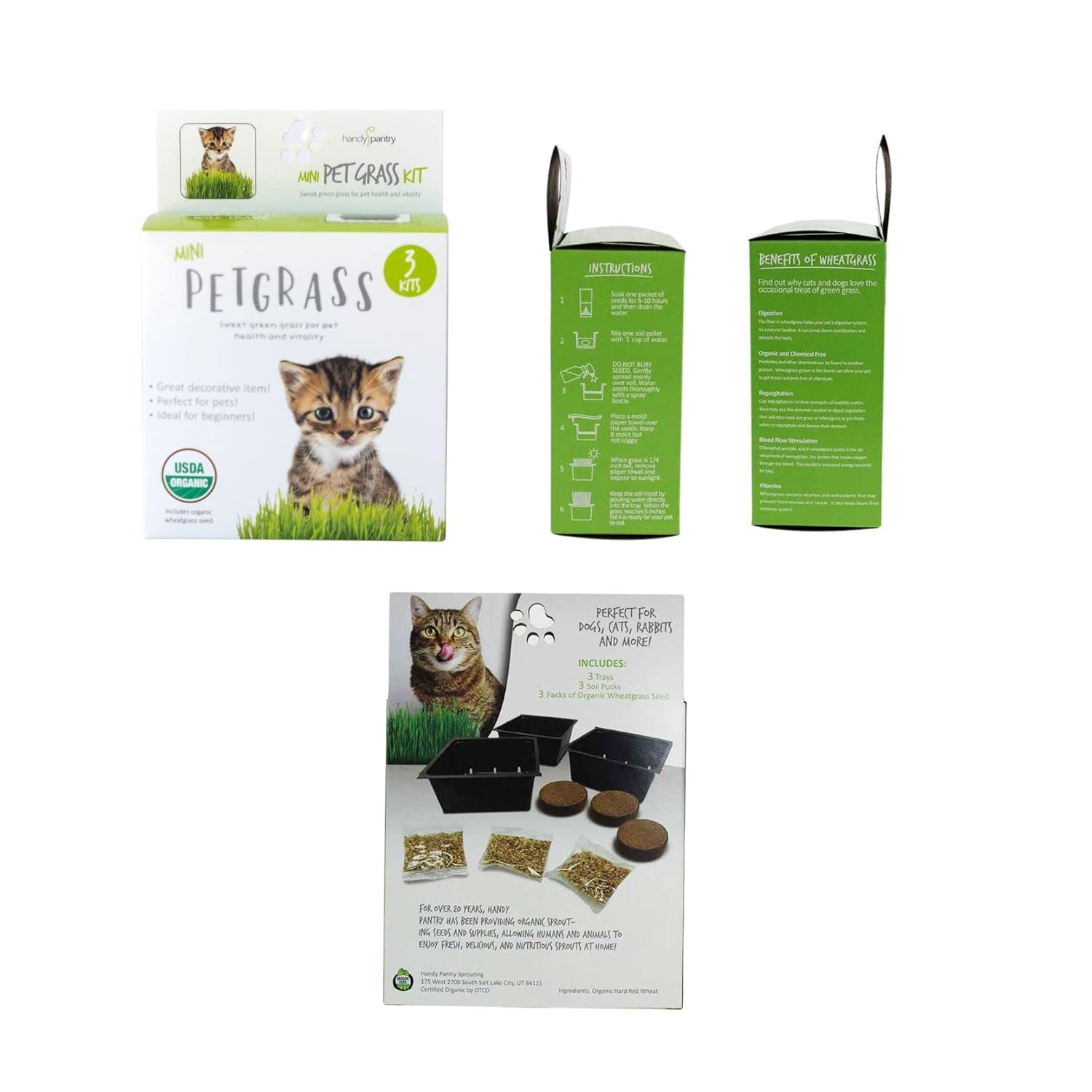 handy-pantry-organic-cat-grass-kit-includes-3-trays-soil-pucks-and-3-packs-non-gmo-wheatgrass-seed-a-healthy-treat-for-cats-dogs-rabbits-more