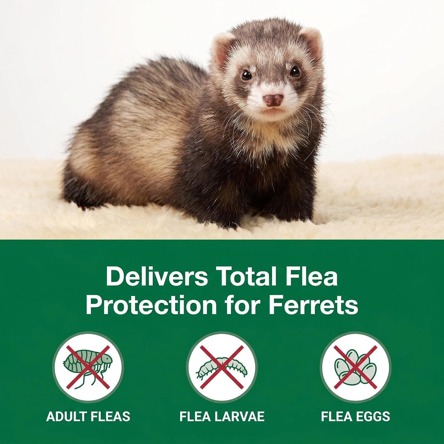 ferret-flea-prevention-4-month-supply-2-5-ml-high-volume-tube-for-multi-ferret-households-1-lb-ndc-non-nitenpyram-code