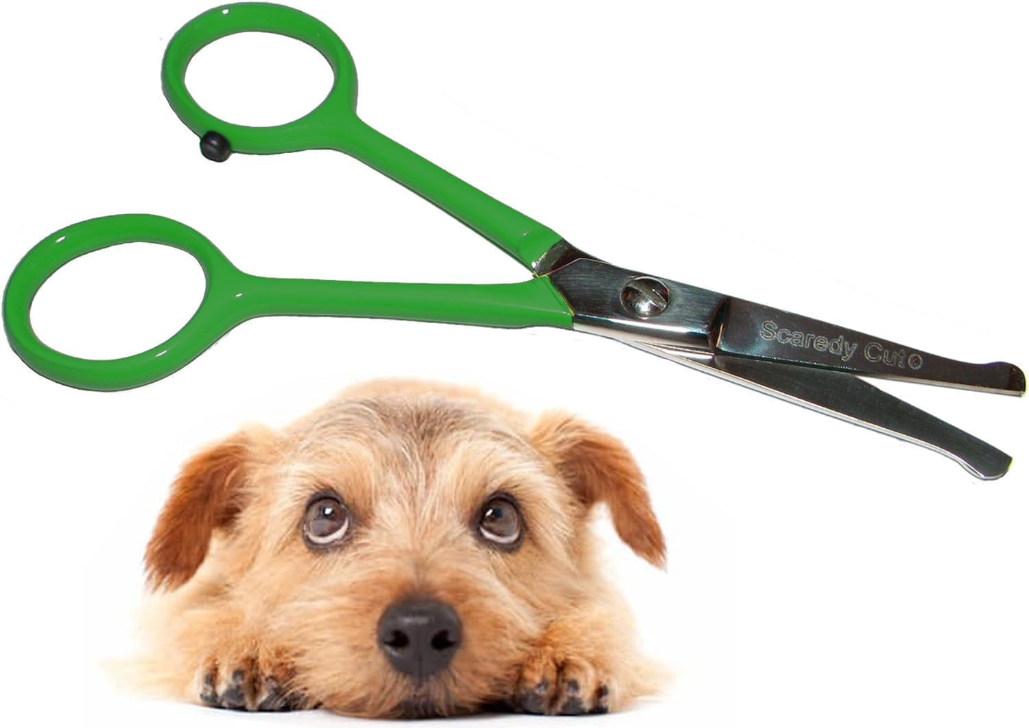 tiny-trim-4-5-ball-tipped-scissor-for-dog-cat-and-all-pet-grooming-ear-nose-face-paw-scaredy-cuts-small-safety-scissor-blue