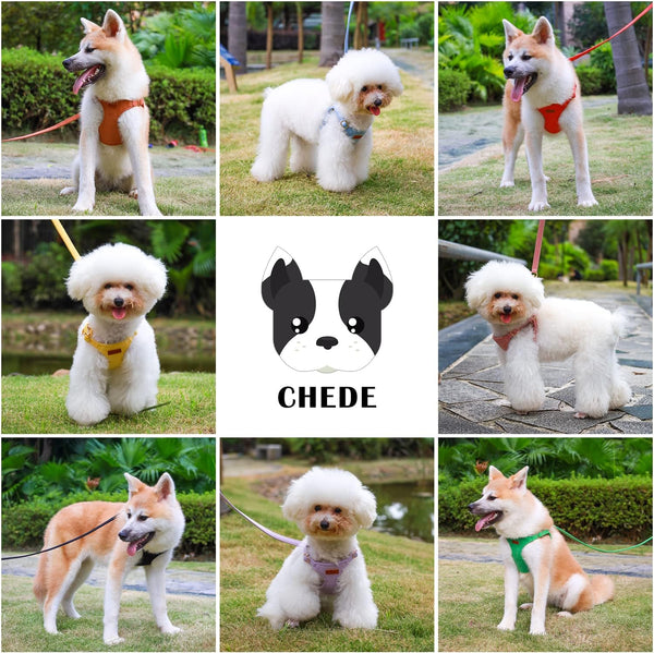 CHEDE No Pull Puppy Harness and Multifunction Dog Leash Set- 8 Colors Soft Adjustable No Choke Escape Proof Cute,Lightweight Pet Vest Harness for Small and Medium Dog…5