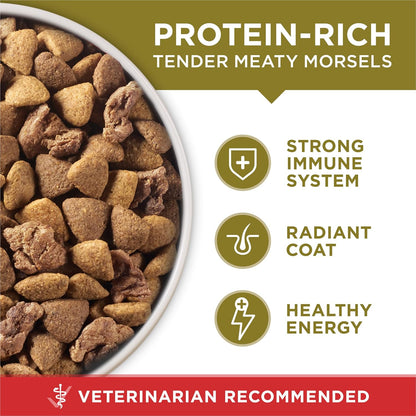 Purina ONE Dry Dog Food Lamb and Rice Formula - 31.1 Lb. Bag9