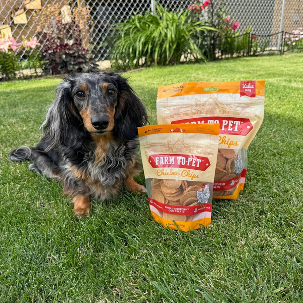 Farm to Pet - Dog Training Treats - Chicken Chips, Single Ingredient - 12 Oz, Lean, All Natural, Healthy Dog Treats for Small, Medium, Large Breeds, & Puppies, Made in USA5