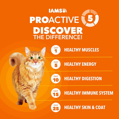 IAMS Proactive Health Healthy Adult Dry Cat Food, Salmon, 7 Lb | Veterinarian-Recommended, Real Salmon #1 Ingredient, Supports Muscle, Heart, Digestion, Skin & Teeth3
