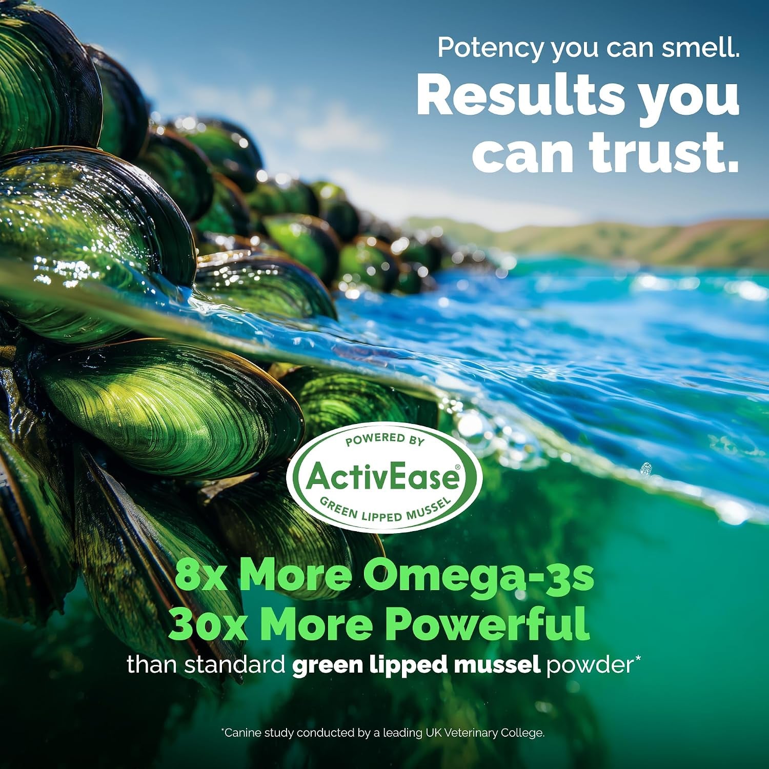 yumove-adult-dog-hip-joint-supplement-chews-green-lipped-mussel-300ct-glucosamine-hyaluronic-acid-omega-3-for-mobility-joint-supplement-barbecue-daily-chews-nasc-certified