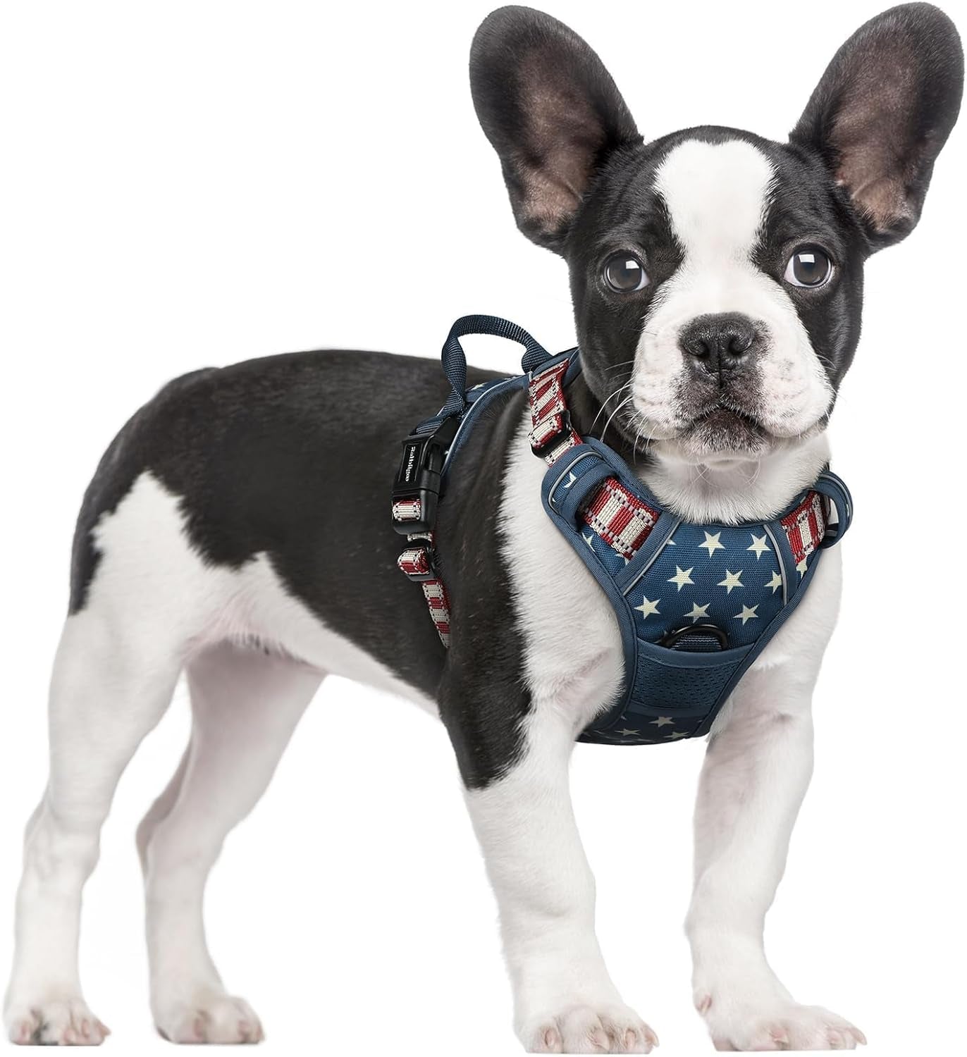 rabbitgoo-dog-harness-no-pull-for-large-dogs-with-2-leash-clips-pet-vest-no-choke-with-handle-adjustable-soft-padded-reflective-easy-control-for-walking-black-large