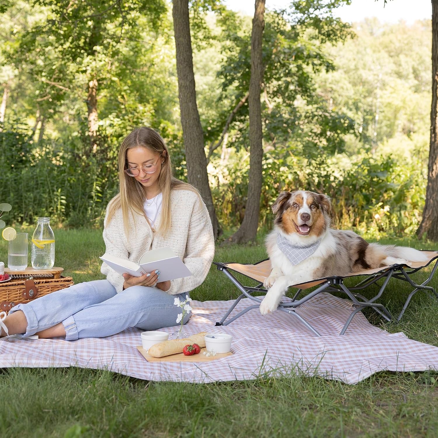 carlson-elevated-dog-bed-folding-dog-cot-for-large-dogs-up-to-95-lbs-portable-raised-pet-bed-for-indoor-outdoor-use-47-5-x-24-5-tan
