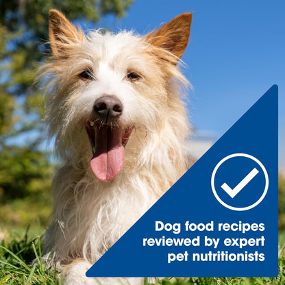 Nature’S Recipe Chicken, Salmon and Turkey Recipes Variety Pack Wet Dog Food, 12-2.75 Oz. Cups, 2 Count6