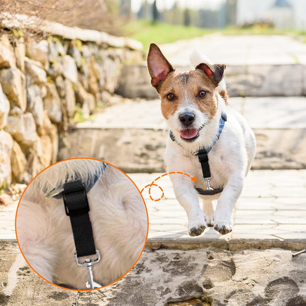 Saintrygo 8 Pieces Dog Collar Clip Prong Collar Safety Clip Adjustable Nylon Backup Harness Connector, Double Ended Backup Clasp for Dog Harness Pet(Cute Colors)5