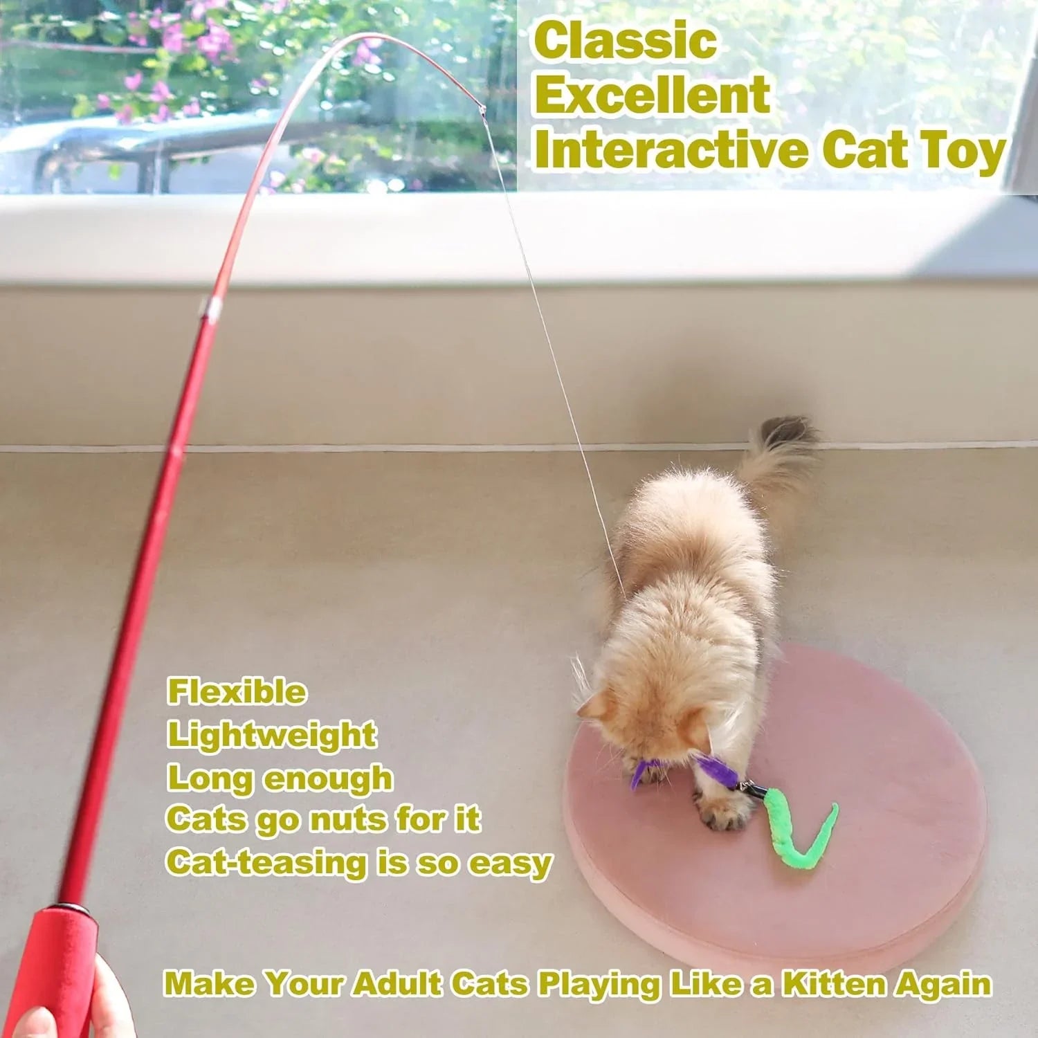 fluffy-cat-playing-with-interactive-wand-toy-on-pink-mat-near-window
