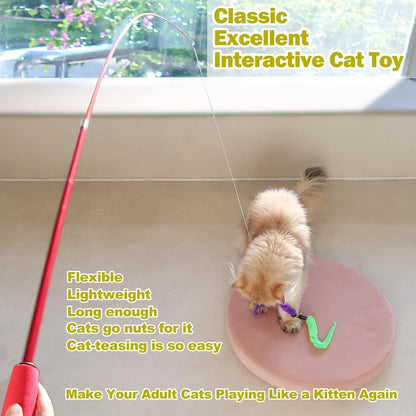 Fluffy cat playing with interactive wand toy on pink mat near window2