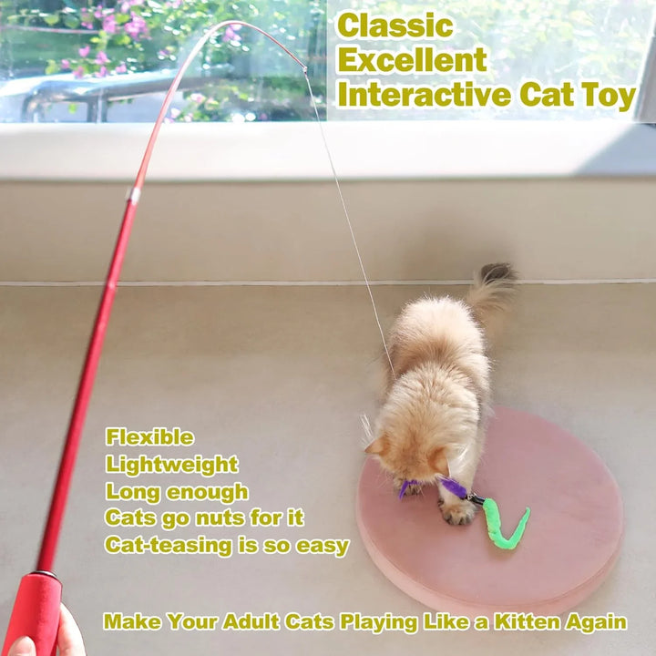 Fluffy cat playing with interactive wand toy on pink mat near window+2
