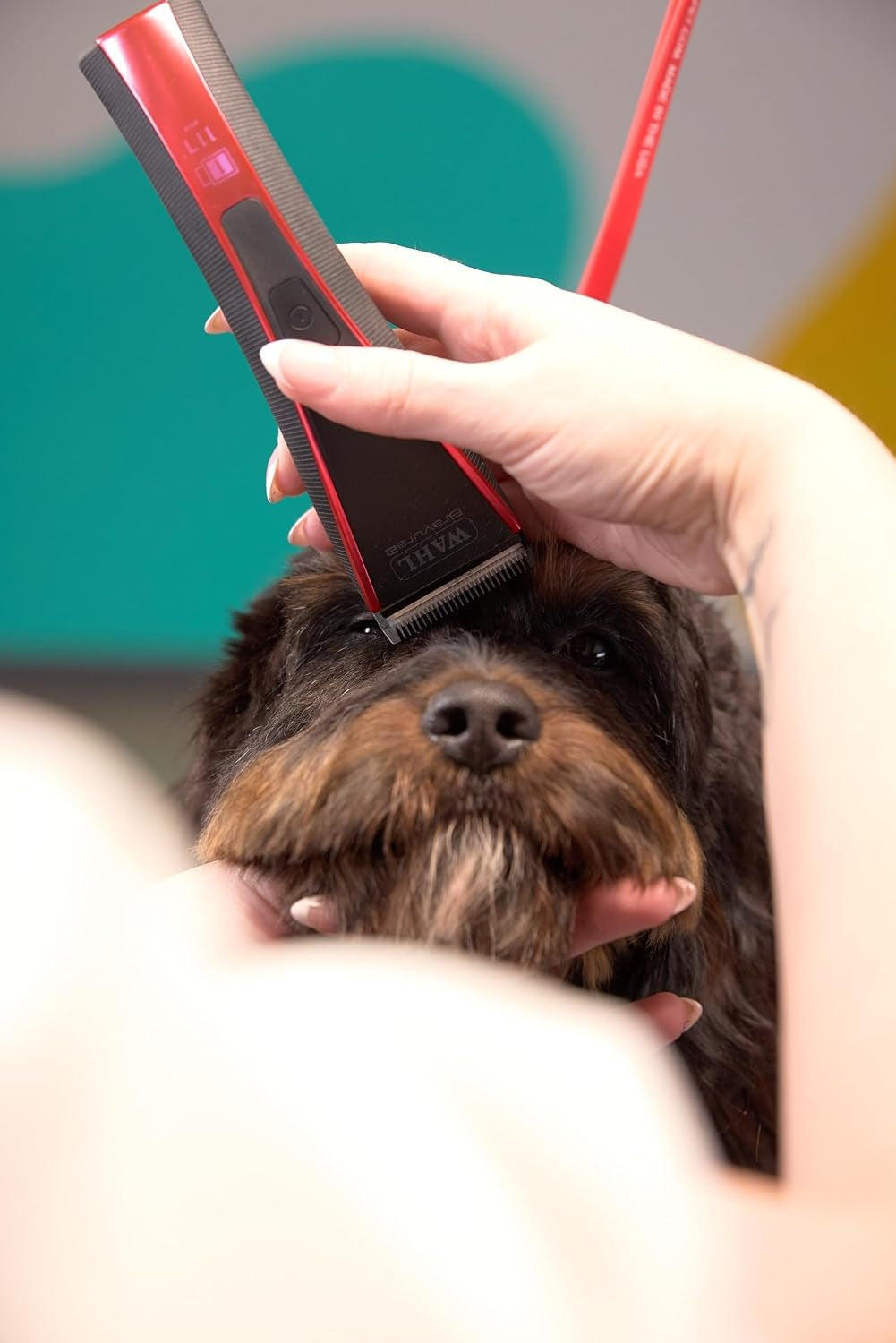 wahl-pro-animal-bravura2-cordless-professional-pet-clipper-for-dogs-cats-horses-multi-speed-durable-easy-to-carry-usb-charging-travel-friendly-comfortable-grip-brilliant-rose