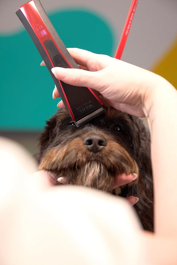 Wahl Pro Animal Bravura2 - Cordless Professional Pet Clipper for Dogs, Cats & Horses - Multi-Speed - Durable & Easy to Carry - USB Charging - Travel-Friendly - Comfortable Grip - Brilliant Rose7