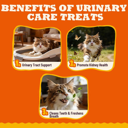 9 Oz Urinary Care Treats with Kidney Support for Indoor Cats | Chicken Flavor Treats Clean Teeth, Reduce Plaque and Freshen Breath While Supporting Urinary and Kidney Health for All Cats.3