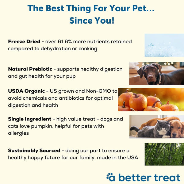 A Better Treat – Freeze Dried Organic Pumpkin Dog and Cat Treats, Organic, Single Ingredient | Natural, Healthy, Diabetic Friendly | Made in the USA3