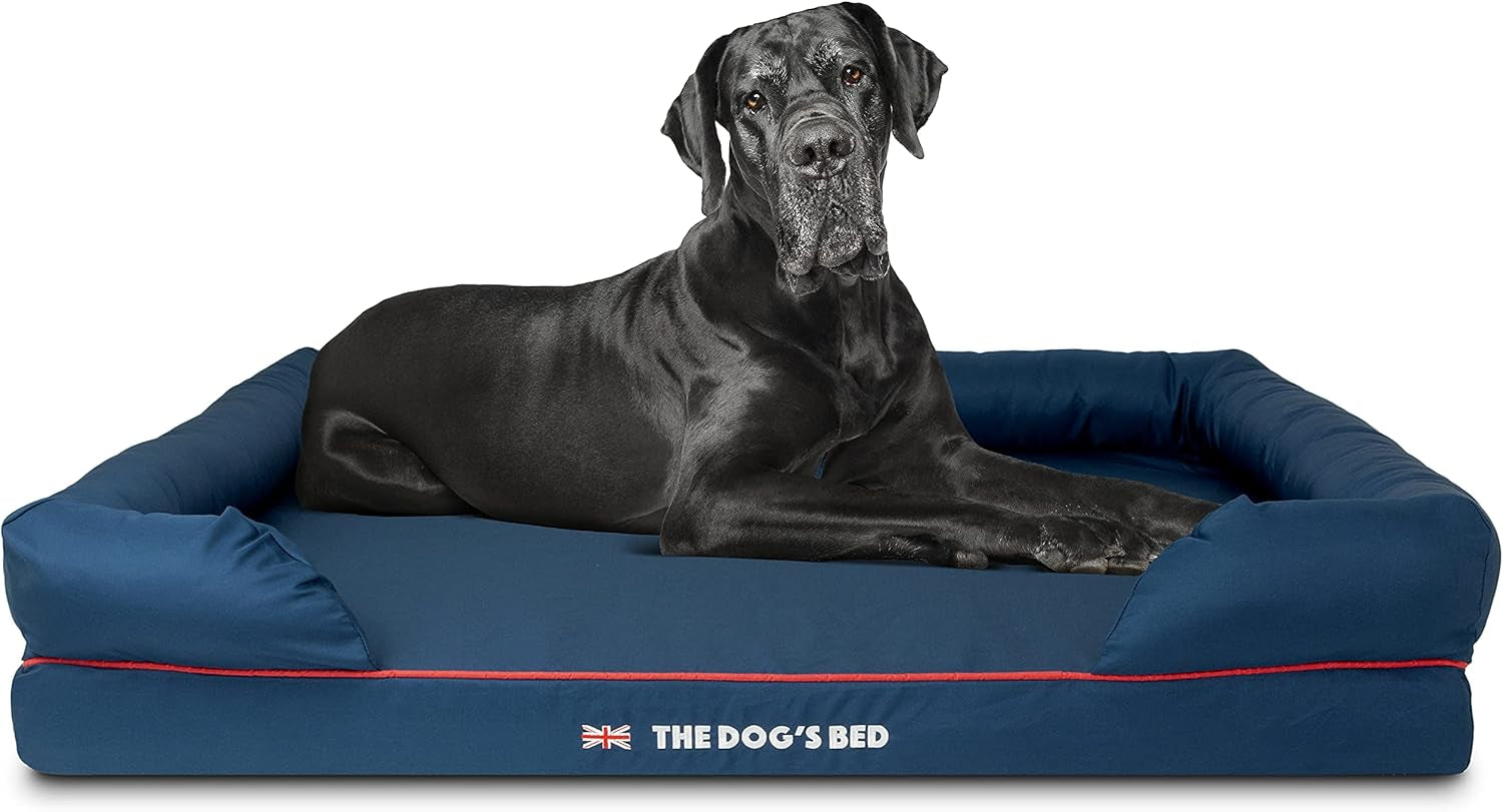 the-dog-s-bed-orthopedic-memory-foam-dog-bed-with-bolsters-for-large-dogs-high-density-support-mattress-low-front-entry-removable-washable-cover-oxford-fabric-blue-with-dark-red-trim-large