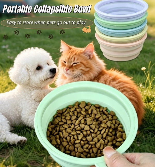 Collapsible Pet Bowl Travel Food Water Bowl(Greenpinkblue) | Food-Grade Silicone, Bpa-Free, Soft & Durable. Collapsible with Carabiner for Travel. Non-Slip Base, Easy to Rinse Clean.4