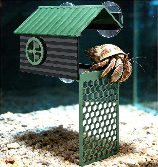 Multi-Functional Hermit Crab Hideaway | Hermit Crab Foraging Cave with Ladder | Hermit Crab Climbing Wall Toy | Hideout Decoration Accessories Also Suitable for Lizards and Tarantulas1