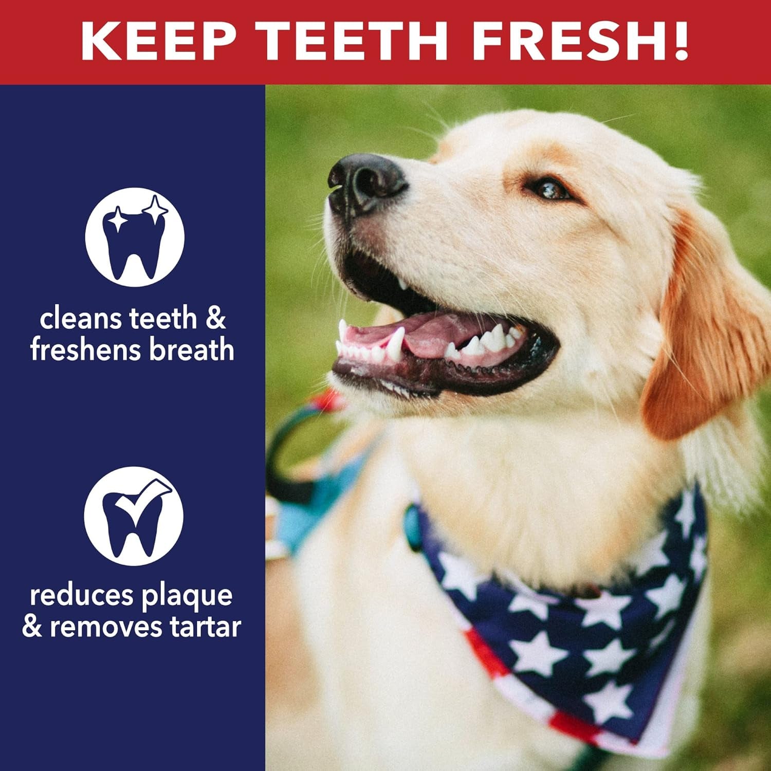 pet-factory-100-made-in-usa-beefhide-chip-rolls-dog-rawhide-chews-thick-dog-chews-long-lasting-from-american-cattle-dog-chew-bones-5-inches-pack-of-22
