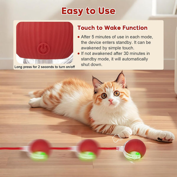 Interactive Dog & Cat Electric Active Toys, Smart Rolling Ball for Dogs & Cats, 360° Smart Automatic Rolling Pet Ball, Fast Moving Toy for Bored Indoor Kitty, Rechargeable(Red)4